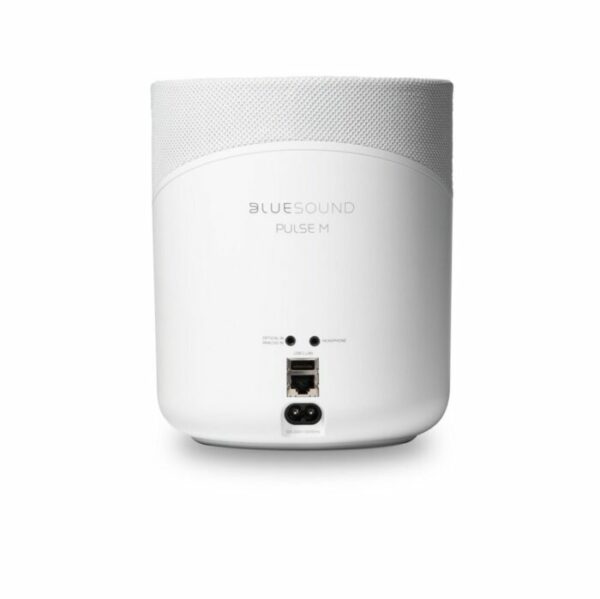 Bluesound PULSE M - Image 6