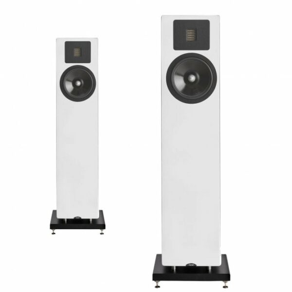 Neat Elite Classic (Pair) - Image 5