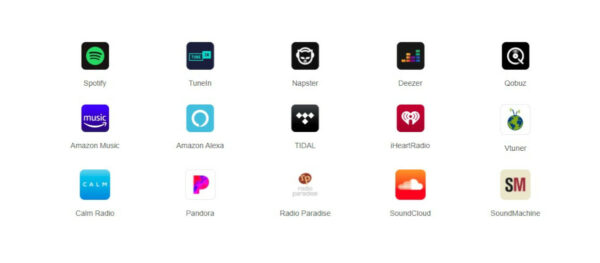 WIIM PRO PLUS - Image 2