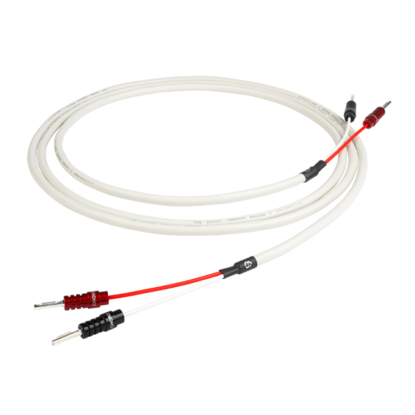 OdysseyX speaker cable