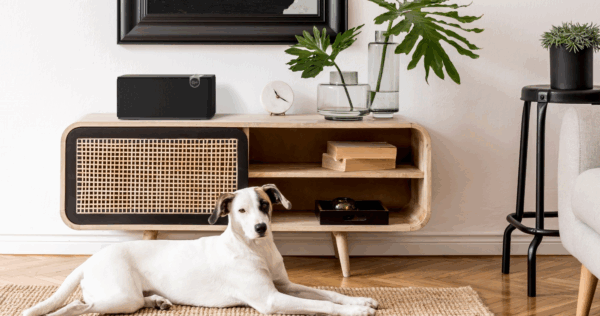 Klipsch One Plus - Image 5