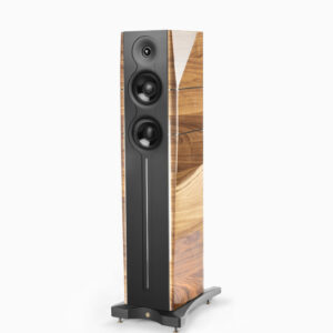 GOLD NOTE A6 EVO II (Pair) - Rayleigh Hi-Fi