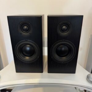 Ex-Display Totem Bison Monitor - Black Ash