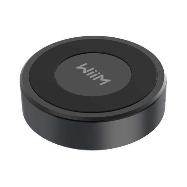 WIIM MINI