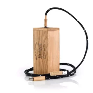 Entreq Primer Infinity Speaker Cable with Ground Box + 3.5mm Ground Cable