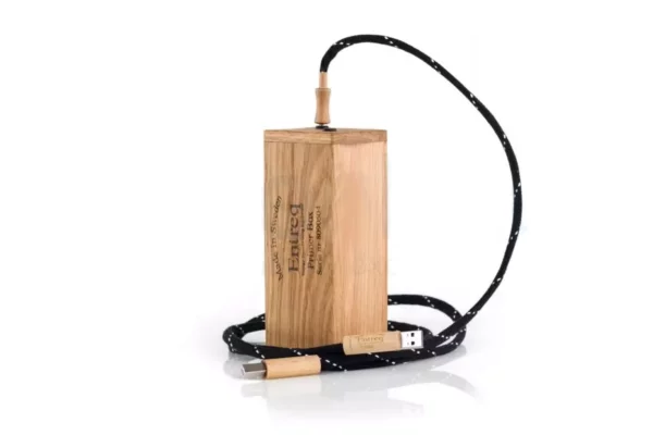 Entreq Primer Infinity Speaker Cable with Ground Box + 3.5mm Ground Cable